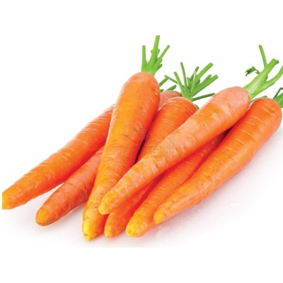 Морковь молодая 1 кг - купить в Глазырино